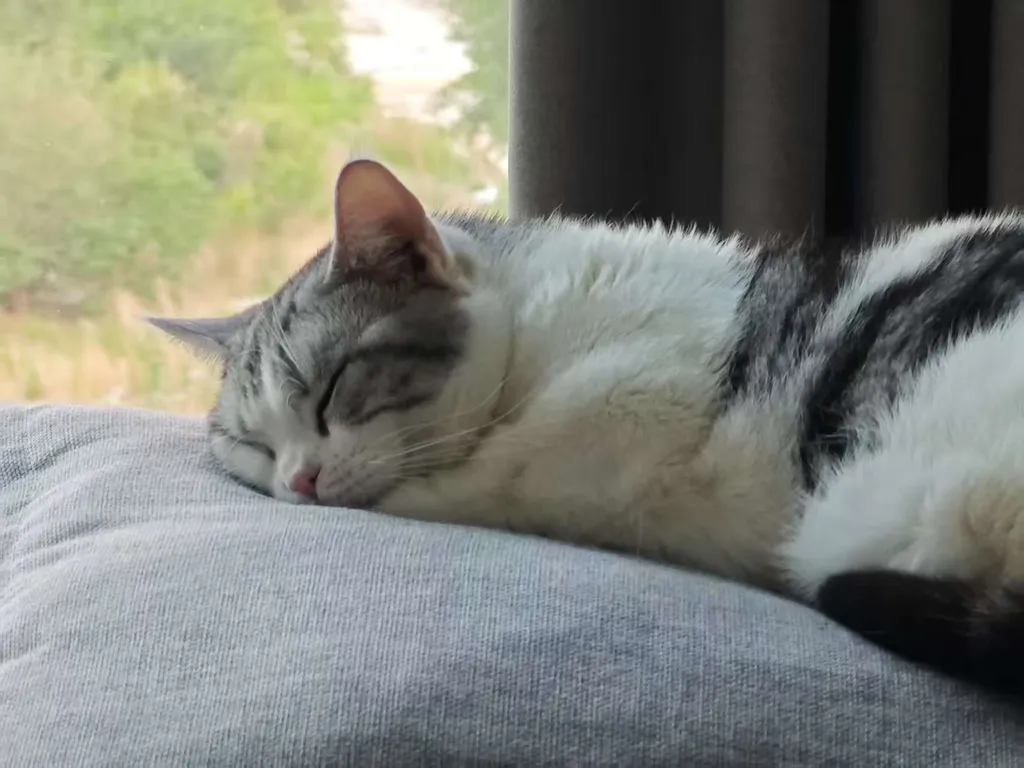 窗台沉思录：发呆中的顿悟时刻