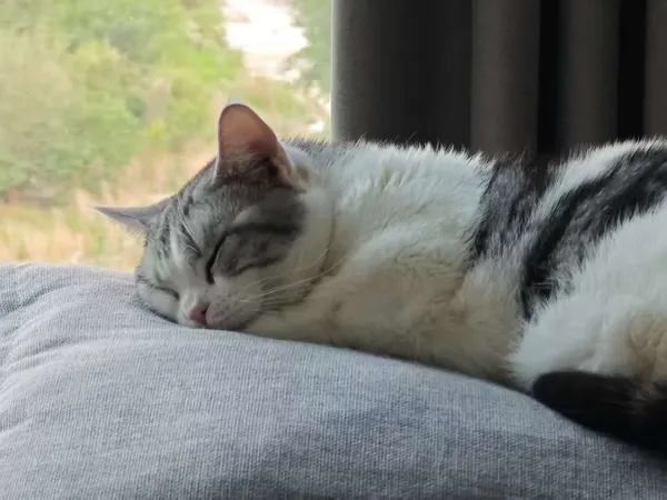 窗台沉思录：发呆中的顿悟时刻