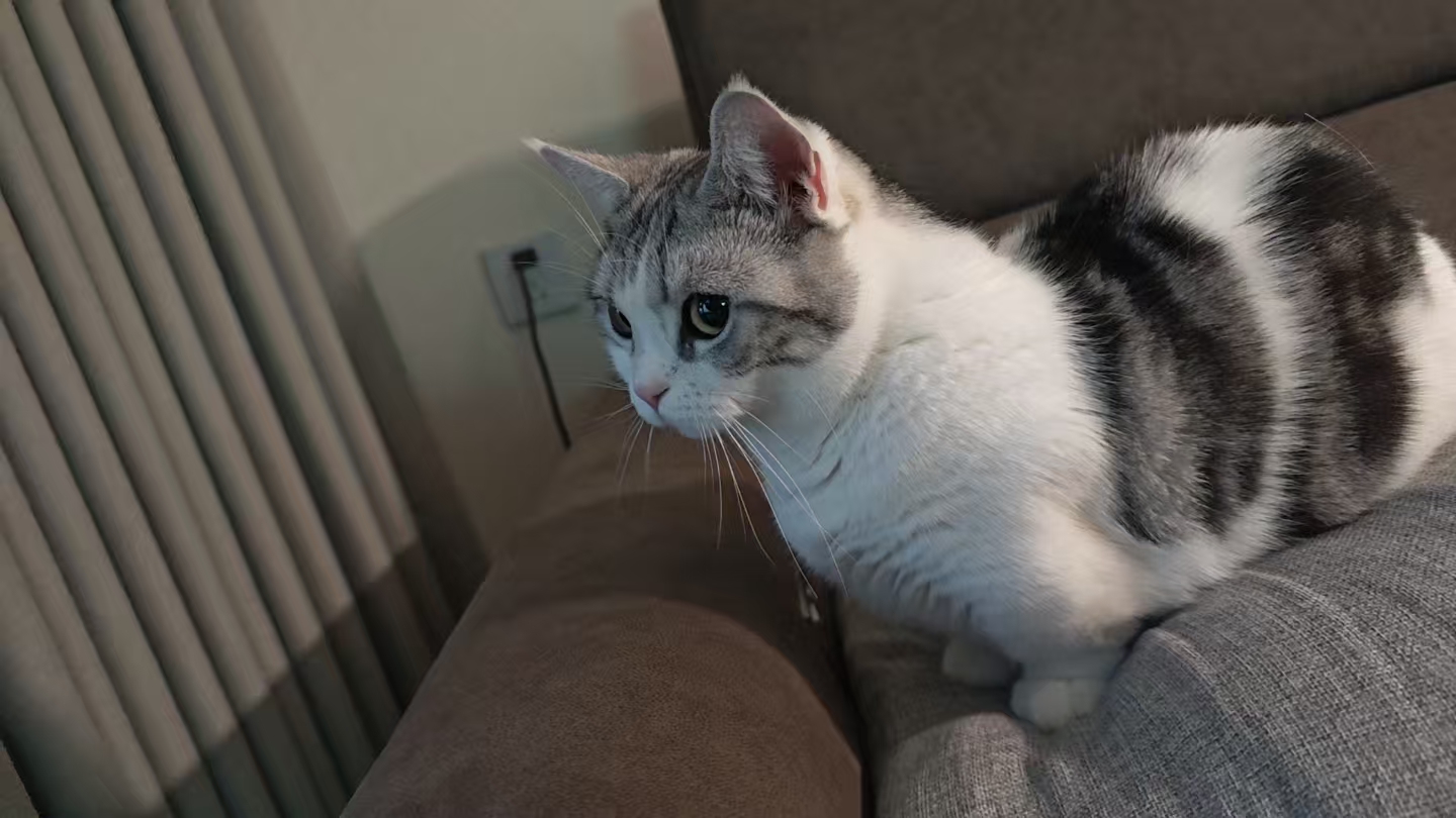 窗边的思考时间